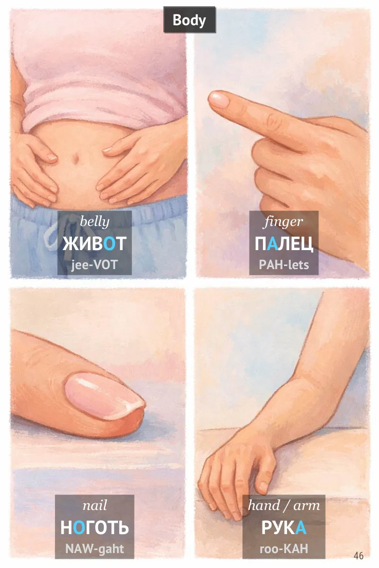 Russian body parts vocabulary page